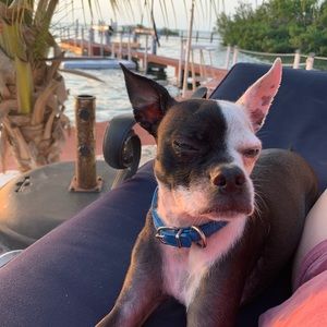 Meet your Posher, Anna